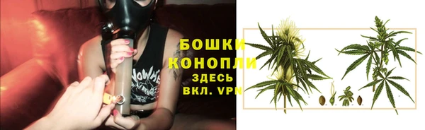 дурь Аркадак